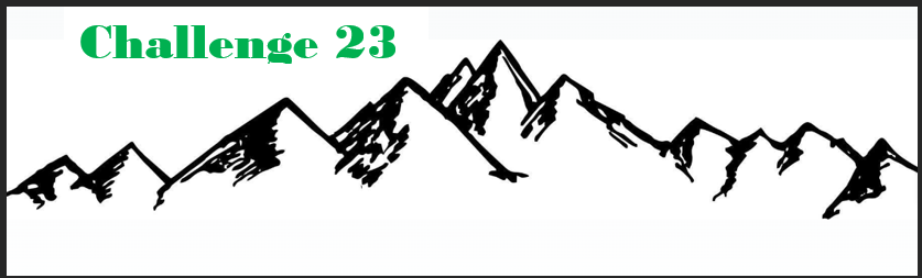 Challenge 23 logo